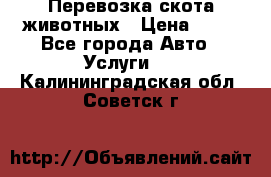 Перевозка скота животных › Цена ­ 39 - Все города Авто » Услуги   . Калининградская обл.,Советск г.